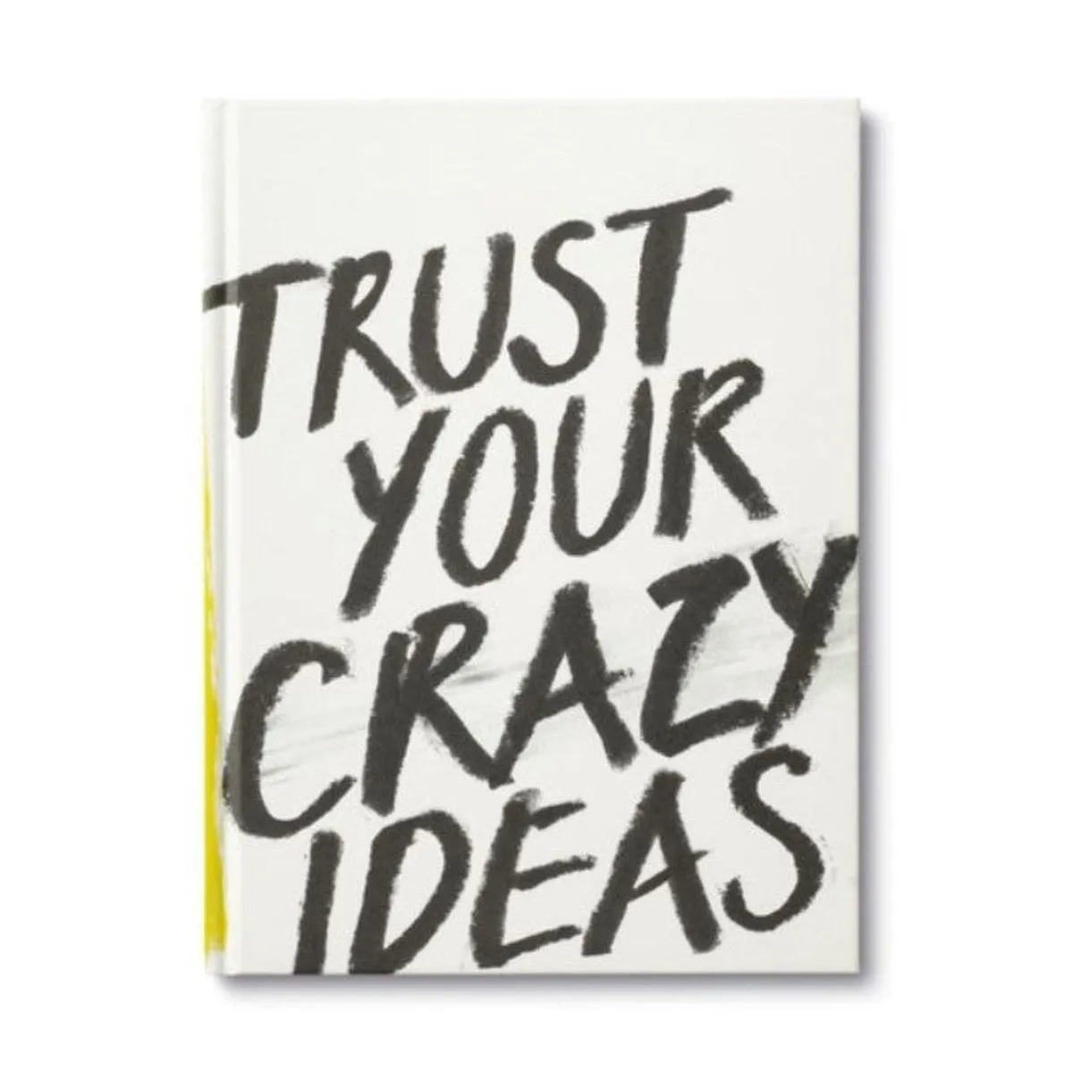 Compendium | Trust Your Crazy Ideas