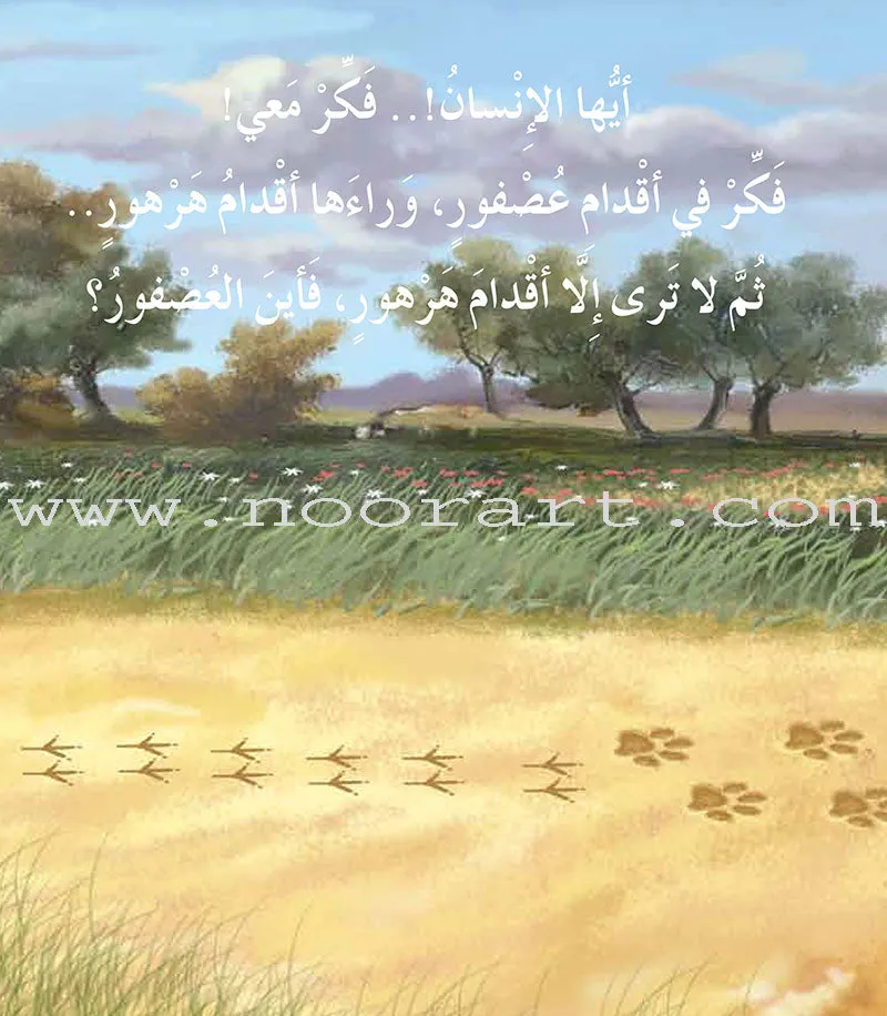 Contemplate With Anoos Stories - Love Series  (Set of 28 Books) منهاج تفكر مع أنوس سلسلة الحب