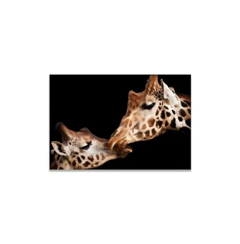 GADGETS WRAP Canvas Gallery Wrap Framed for Home Office Studio Living Room Decoration (14x11inch) - Giraffes Portrait