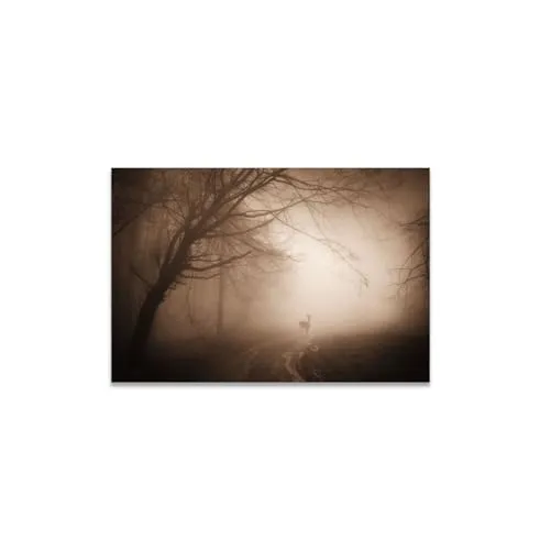 GADGETS WRAP Canvas Gallery Wrap Framed for Home Office Studio Living Room Decoration (14x11inch) - Misty Dark Forest (2)