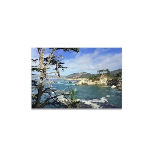 GADGETS WRAP Canvas Gallery Wrap Framed for Home Office Studio Living Room Decoration (17x11inch) - Bluefish Cove Point Lobos Print