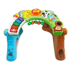 Leapfrog Safari Learning Station