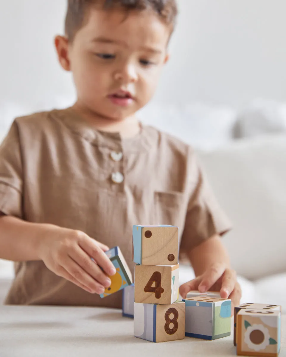 PlanToys Animal Puzzle Cubes