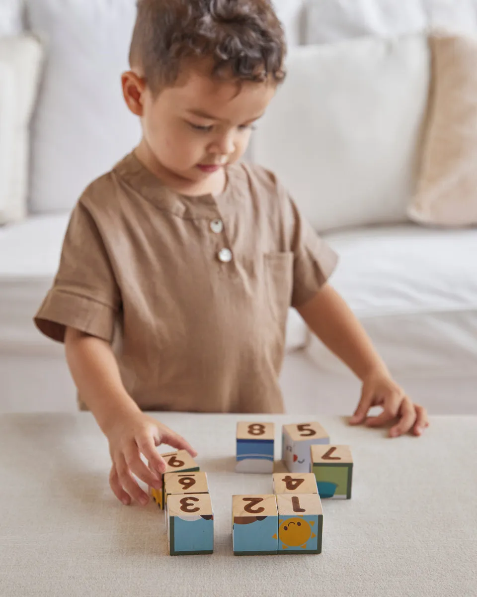 PlanToys Animal Puzzle Cubes